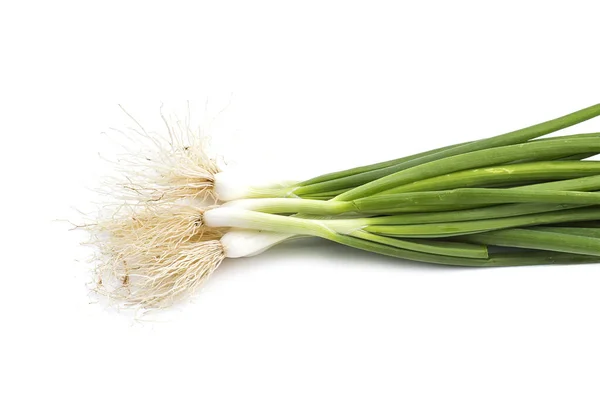 Taze taze taze taze taze taze soğan (soğan ya da soğan) beyaz arka planda