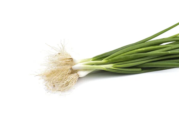 Čerstvé zralé zelené jarní cibule (šalotka nebo hřebenatky) na bílém pozadí — Stock fotografie