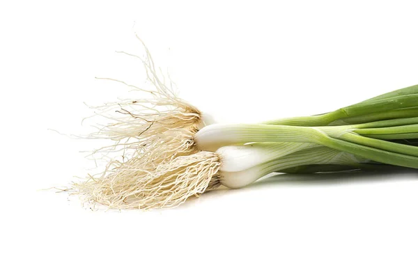 Verse rijpe groene lente-uien (sjalotten of schilfers) op witte achtergrond — Stockfoto
