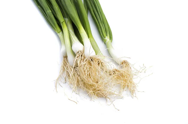 Cipolle primaverili verdi mature fresche (scalogno o scalogno) su fondo bianco — Foto Stock