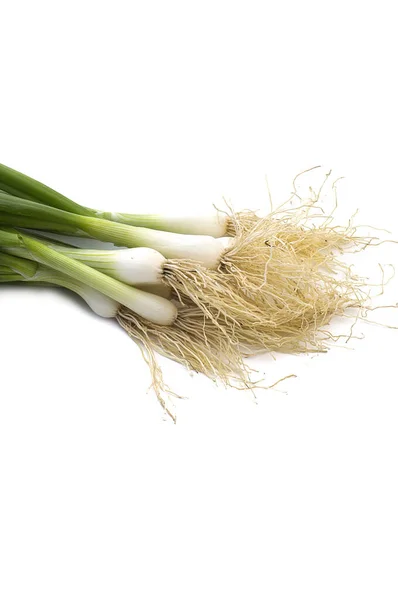 Cipolle primaverili verdi mature fresche (scalogno o scalogno) su fondo bianco — Foto Stock