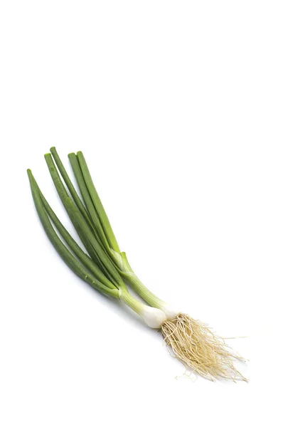 Färska mogna gröna våren lök (schalottenlök eller scallions) på vit bakgrund — Stockfoto