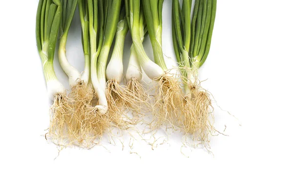 Färska mogna gröna våren lök (schalottenlök eller scallions) på vit bakgrund — Stockfoto