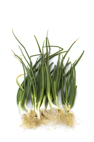 Färska mogna gröna våren lök (schalottenlök eller scallions) på vit bakgrund — Stockfoto