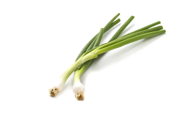 白色背景的新鲜成熟绿色葱（葱或葱） — 图库照片