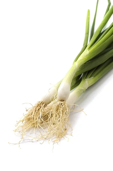 Cebolletas verdes frescas (chalotes o cebolletas) sobre fondo blanco — Foto de Stock