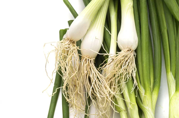 Färska mogna gröna våren lök (schalottenlök eller scallions) på vit bakgrund — Stockfoto