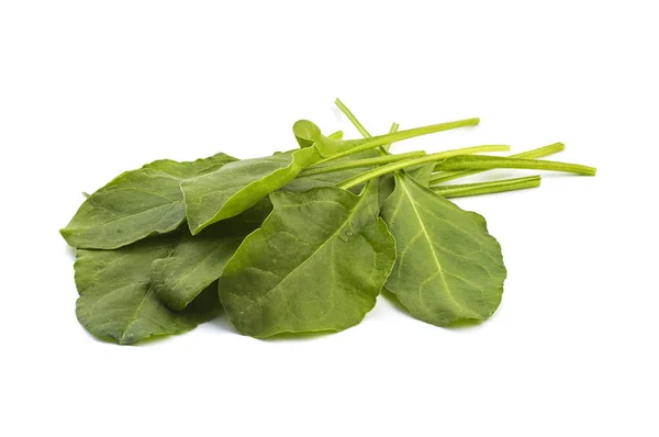 Close up of fresh green spinach isolated on white background — Stock Photo, Image