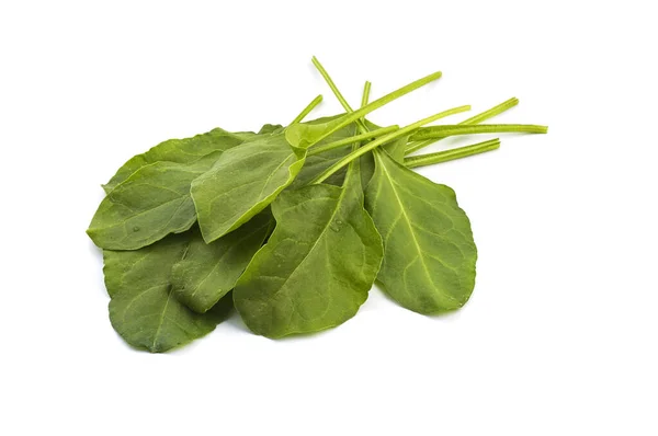 Close up of fresh green spinach isolated on white background — Stock Photo, Image