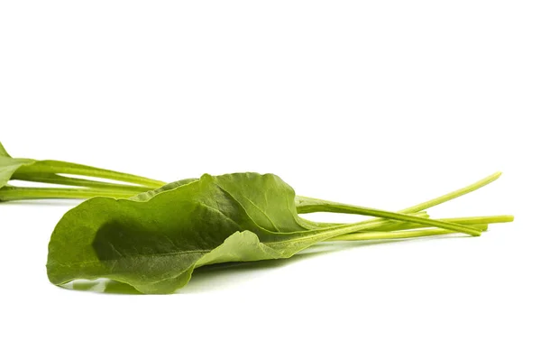 Zbliżenie świeżego zielonego szpinaku izolowanego na białym tle — Zdjęcie stockowe