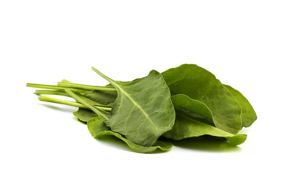 Close up of fresh green spinach isolated on white background — Stock Photo, Image