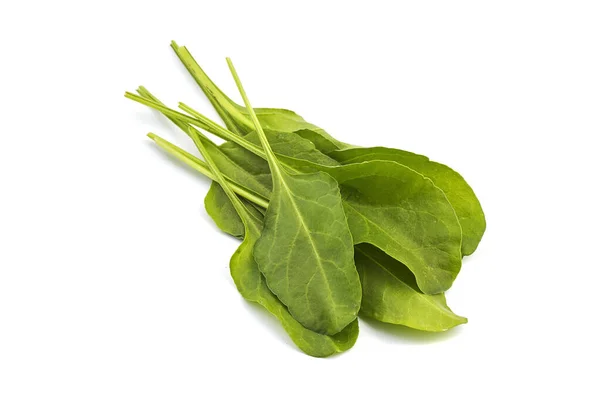 Primo piano di spinaci verdi freschi isolati su fondo bianco — Foto Stock