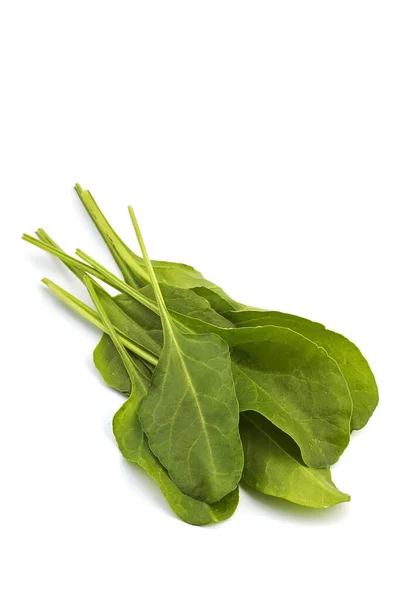 Close up of fresh green spinach isolated on white background — Stock Photo, Image