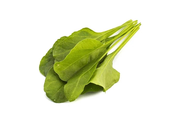 Close up of fresh green spinach isolated on white background — Stock Photo, Image