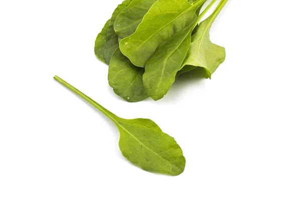 Zbliżenie świeżego zielonego szpinaku izolowanego na białym tle — Zdjęcie stockowe