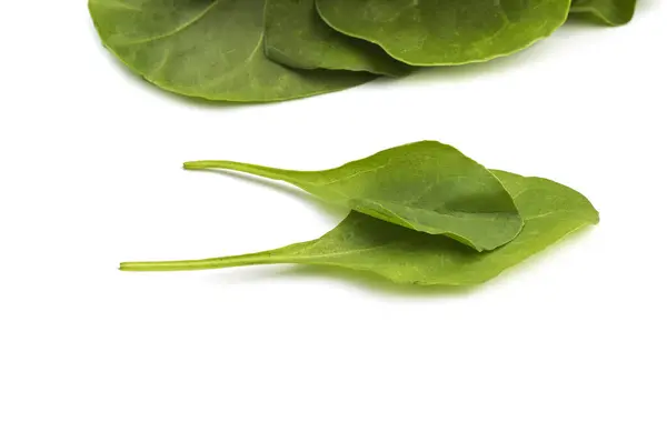 Close up of fresh green spinach isolated on white background — Stock Photo, Image