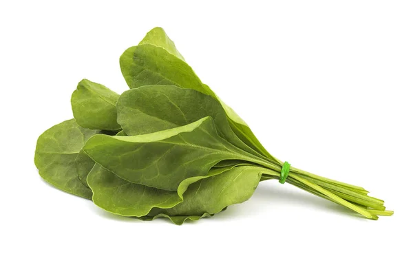 Close up of fresh green spinach isolated on white background — Stock Photo, Image