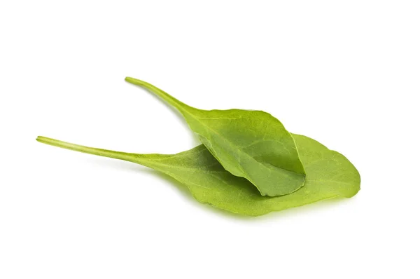 Närbild av färsk grön spenat isolerad på vit bakgrund — Stockfoto