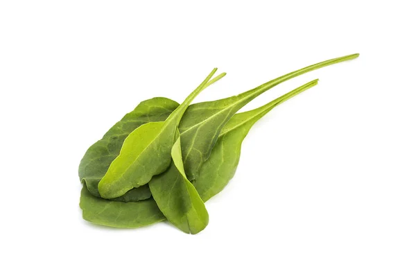 Close-up van verse groene spinazie geïsoleerd op witte achtergrond — Stockfoto
