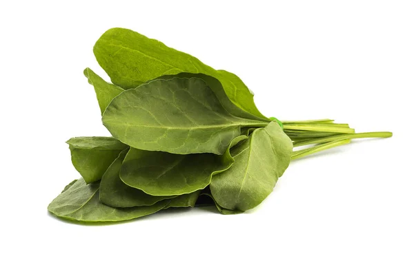 Primer plano de espinacas verdes frescas aisladas sobre fondo blanco — Foto de Stock