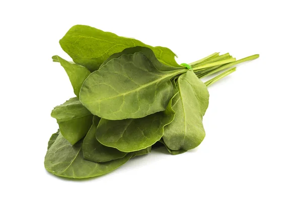 Close up of fresh green spinach isolated on white background — Stock Photo, Image