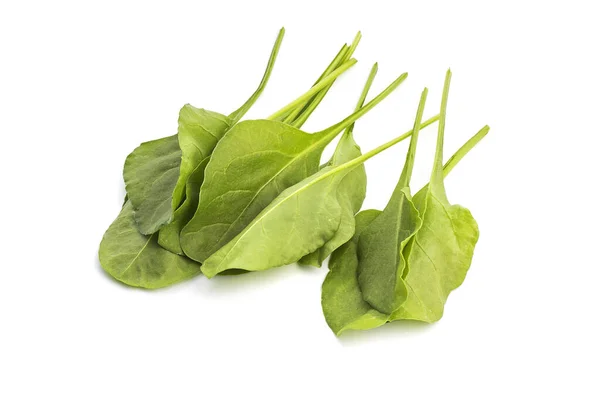 Close up of fresh green spinach isolated on white background — Stock Photo, Image