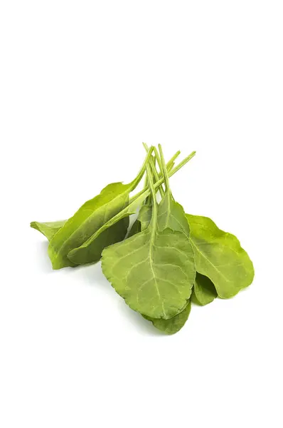 Close up of fresh green spinach isolated on white background — Stock Photo, Image