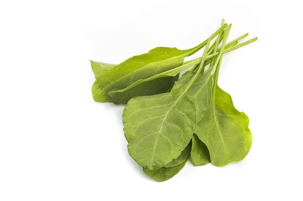 Close up of fresh green spinach isolated on white background — Stock Photo, Image