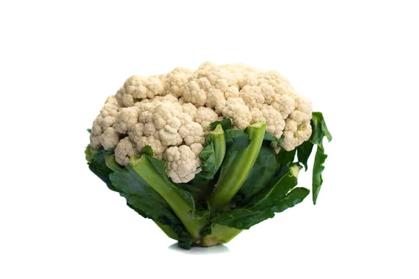 Fresh Cauliflower isolated on white background — Stock Photo, Image