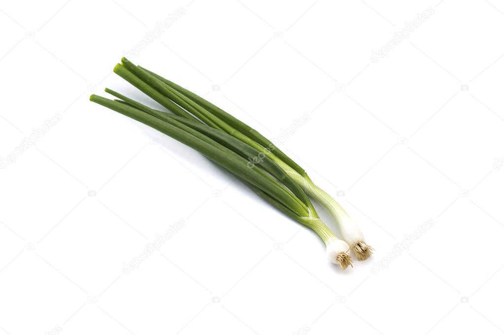 Fresh ripe green spring onions (shallots or scallions) on white background