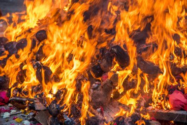 Holika Dahan 'ı odun ya da hindistan cevizi yakarak ve yakarak kutluyoruz. Holi renk festivali ya da paylaşım festivali olarak da bilinir..