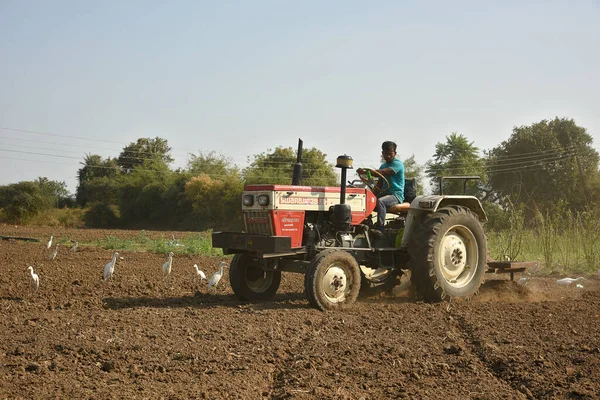 Amravati, Maharashtra, Indien - 03 feb 2017: Oidentifierad bonde i traktor som förbereder mark för sådd med såbäddskultivator. — Stockfoto