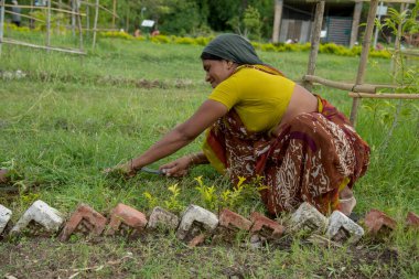 Amravati, Maharashtra, Hindistan, Temmuz - 5, 2017: Tarlada çalışan kimliği belirsiz kadın işçi, parkta bahçe işçisi, istenmeyen çimenleri kesen kadın.