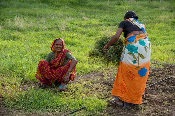 AMRAVATI, MAHARASHTRA, INDIA, JULIO - 5, 2017: Trabajadora no identificada trabajando en el campo, escena de jardinería en el parque, trabajadora cortando hierba no deseada del jardín . — Foto de Stock