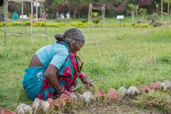 Amravati, Maharashtra, Hindistan, Temmuz - 5, 2017: Tarlada çalışan kimliği belirsiz kadın işçi, parkta bahçe işçisi, istenmeyen çimenleri kesen kadın.