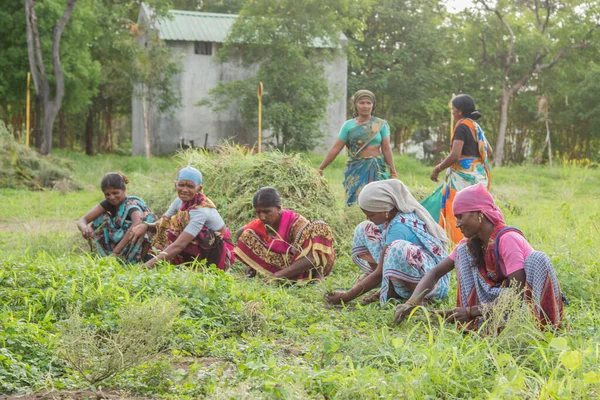 Amravati, Maharashtra, India, July - 5, 2017: Unidentified woman worker working in the field, planting scene at park, women worker cutting unwanted grass from garden. — 图库照片