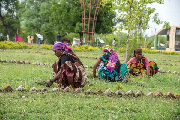 Amravati, Maharashtra, Hindistan, Temmuz - 5, 2017: Tarlada çalışan kimliği belirsiz kadın işçi, parkta bahçe işçisi, istenmeyen çimenleri kesen kadın.