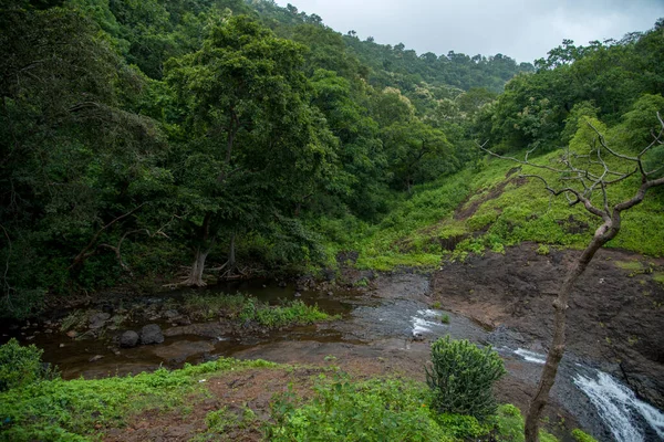 Landscape with mountains, trees and a river in front — Stock Photo, Image