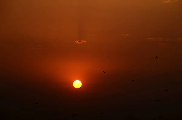 Belo céu de pôr do sol com nuvens. Céu abstrato . — Fotografia de Stock