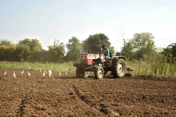 AMRAVATI, MAHARASHTRA, INDE - 03 FÉVRIER 2017 : Un agriculteur non identifié en tracteur prépare un terrain à ensemencer avec un cultivateur de semis . — Photo