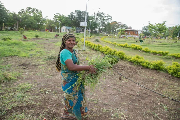 Amravati, Maharashtra, Hindistan, Temmuz - 5, 2017: Tarlada çalışan kimliği belirsiz kadın işçi, parkta bahçe işçisi, istenmeyen çimenleri kesen kadın.
