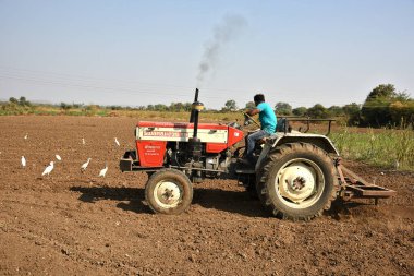 Amravati, Maharashtra, Hindistan - 03 Şubat 2017: Traktördeki tanımlanamayan çiftçi tohum ekmeye hazırlanıyor.