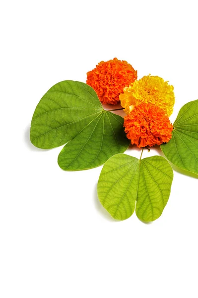 Indian Festival Dussehra Showing Golden Leaf Piliostigma Racemosum Marigold Flowers — Stock Photo, Image