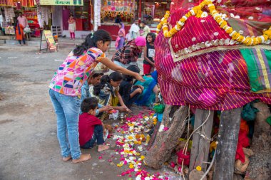 Amravati, Maharashtra, Hindistan, Mart - 1, 2018: Tahta kütüklere ya da hindistan cevizine taparak Holika Dahan 'ı kutlayan kimliği belirsiz insanlar. Holi renk festivali ya da paylaşım festivali olarak da bilinir.