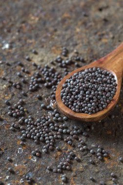 Kahverengi Hardal Tohumları ahşap kaşık içinde desenli bir arka planda