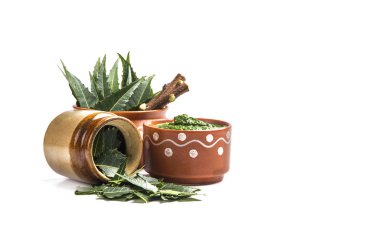 Tıbbi Neem yapıştır ile yaprakları ve beyaz arka plan üzerinde çırpı