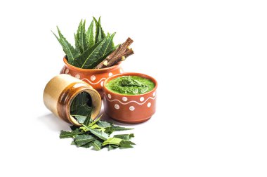 Tıbbi Neem yapıştır ile yaprakları ve beyaz arka plan üzerinde çırpı