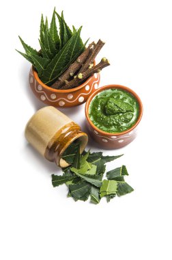 Tıbbi Neem yapıştır ile yaprakları ve beyaz arka plan üzerinde çırpı