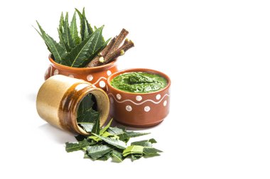 Tıbbi Neem yapıştır ile yaprakları ve beyaz arka plan üzerinde çırpı