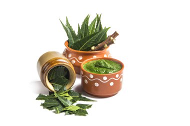 Tıbbi Neem yapıştır ile yaprakları ve beyaz arka plan üzerinde çırpı